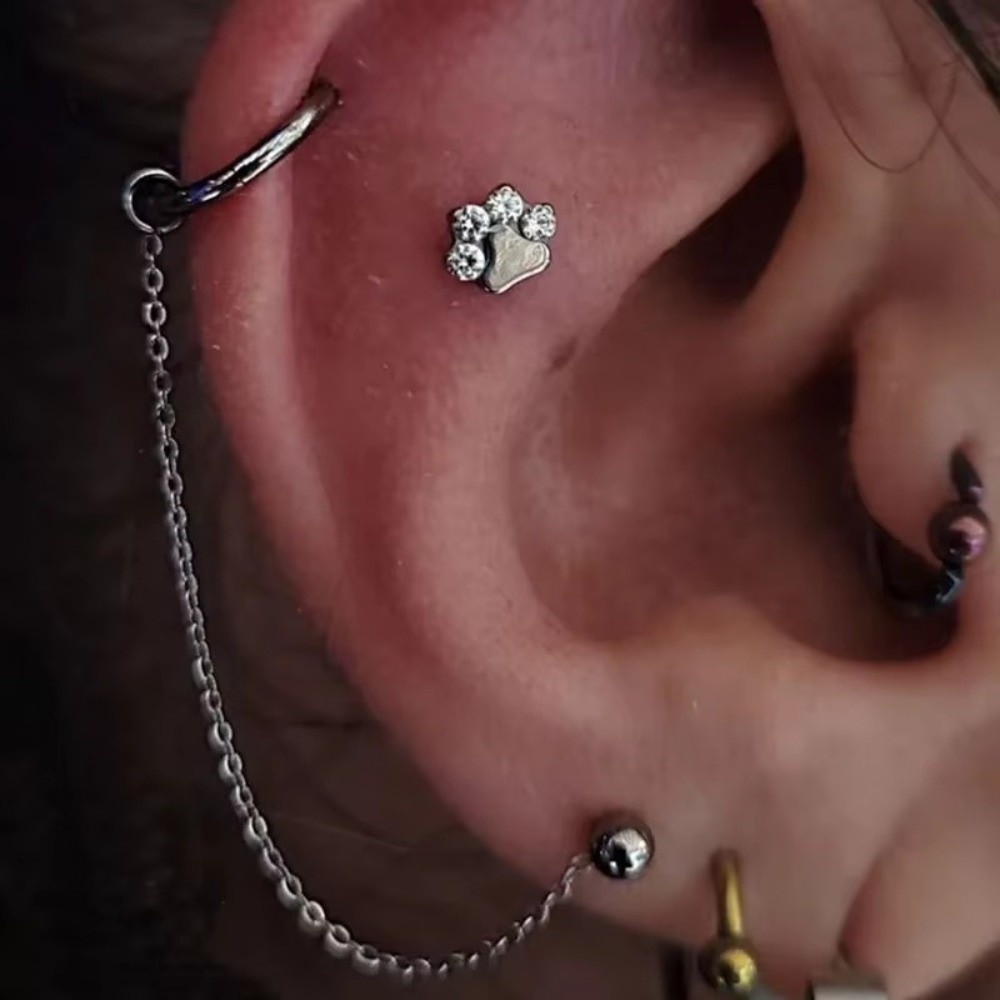 Titanium Nose Chain Three Laye - Body Jewelry And Piercing avis et prix