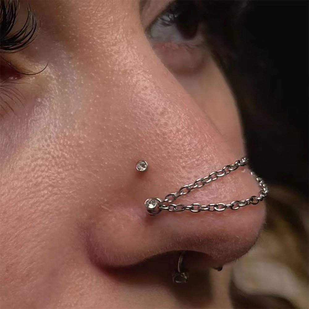 Titanium Nose Chain Double Cha - Body Jewelry And Piercing avis et prix